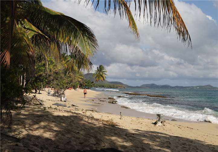 Martinique hat viel mehr zu bieten als Sonne, Strand und Meer. Foto: H. Geißen