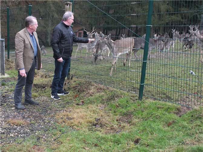 Matthias Eul und Erwin Rüddel am Damwild-Gehege.  Foto: Reinhard Vanderfuhr/Büro Rüddel