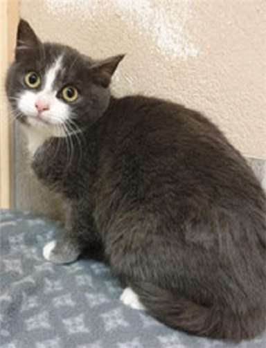 Matze. Fotos: Tierheim