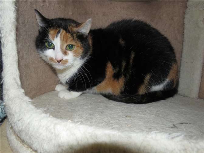 Mauti.  Foto: privat