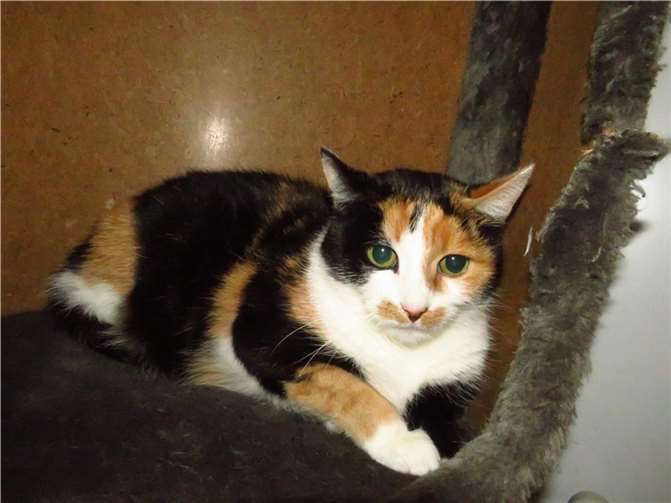 Mauti. Fotos: privat