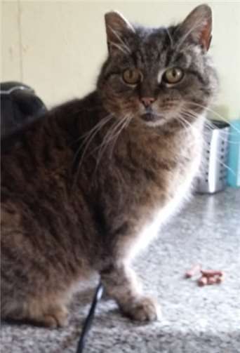 Maxi, eine von vier Schwestern.privat