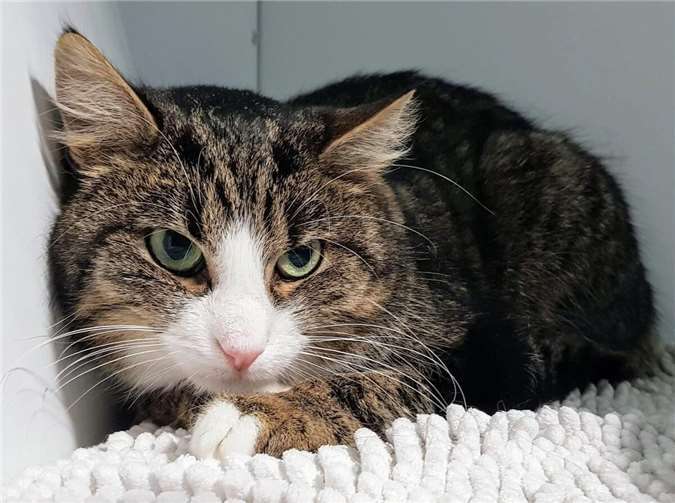 Maximilian. Fotos: privat