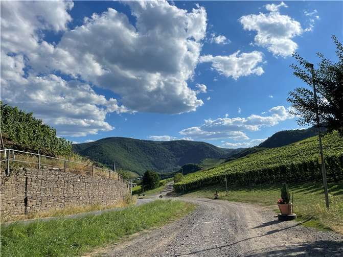 Ahrtal: „Wandern für den Wiederaufbau“ geht wieder los! Mayschoß im August 2022. Foto: ROB