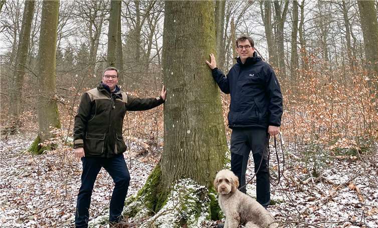 MdL Horst Gies und Ortsbürgermeister Torsten Raths in einem Bereich des Buchen-Urwaldprojektes in Wershofen.Foto: privat
