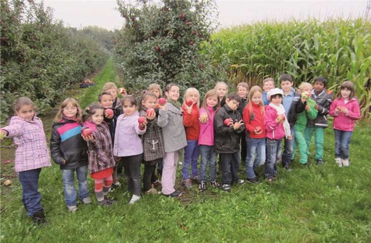 Meckenheim. Zum Abschluss der Unterrichtsreihe Obst, insbesondere dem Apfel, unternahm die Klasse 2a der EGS am vergangenen Mittwoch mit Ihren Lehrerinnen einen Ausflug zu den Obstplantagen des Obsthofes Manner in Meckenheim. Zu Beginn wurden die Kinder mit dem Traktor zu den Apfelplantagen gefahren. Dort angelangt durften alle Kinder die wunderschönen, roten Äpfel direkt vom Baum pflücken und beherzt von der köstlichen Frucht probieren. Frau Manner erklärte den Kindern Wissenswertes über den Anbau, die Ernte und die Verarbeitung der Äpfel. Zurück am Obsthof angelangt wurden die Lagerräume, Kühlhäuser und Sortieranlagen begutachtet und ein Schluck frisch gepresster Apfelsaft belohnte die Anstrengungen. Zum Abschluss erhielt jedes Kind noch ein kleines Säckchen mit Äpfeln und Birnen. Mit vollem Bauch und vielen Eindrücken ging es dann zu Fuß zurück zur Schule. Privat 