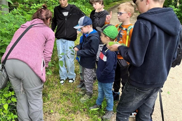 Meckikids lernen Wald und Waldkräuter kennen
