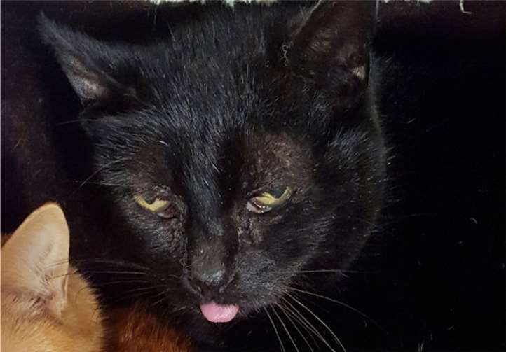 Meggie war die längste Zeit ihres Lebens draußen auf sich alleine gestellt.Anja Hedden