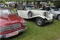 Brunnenfest Bad Breisig: Ehrenamt und Highlights mit Oldtimern und Modellbau