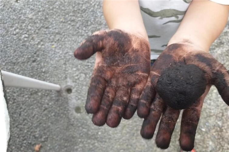 Mehr als Dreck: Wir suchen nach Leben im Boden