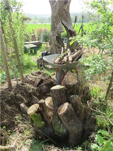 Mein Holzmeiler für den Nachwuchs des Hirschkäfers im Naturschutzgarten Niederwerth. Weitere sind in Vorbereitung.