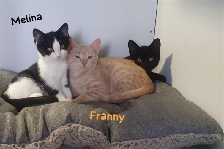 Melina und Franny
