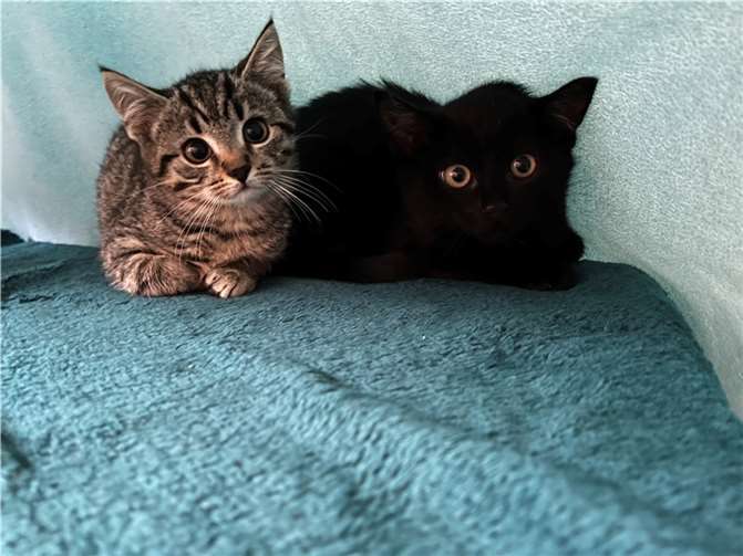 Melissa und Martina.