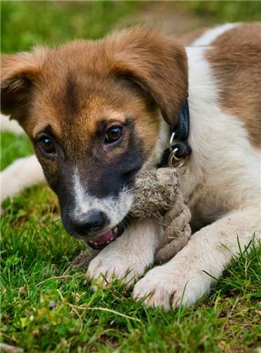 Melly. Fotos: privat