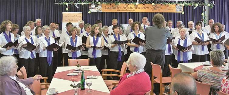 Melodische Klänge beim Konzert. Privat
