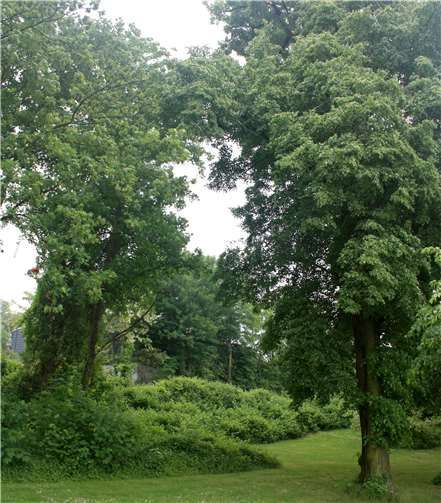 Mendelssohnpark in Koblenz-Horchheim.