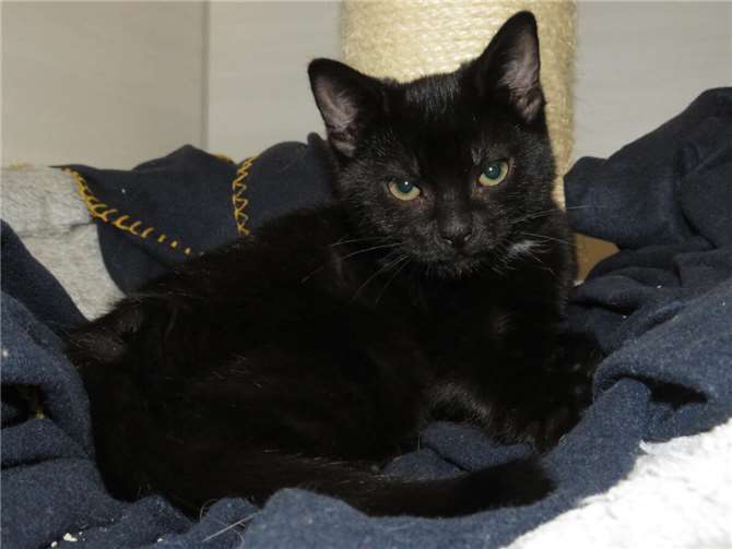 Menja. Fotos: privat