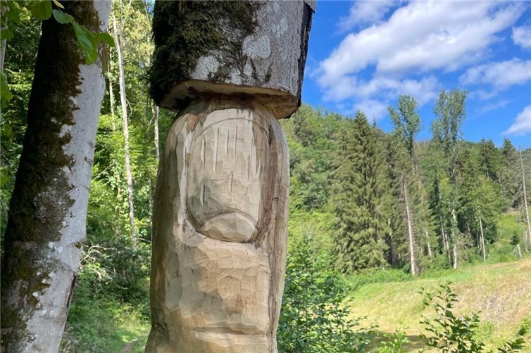 Mensch - Natur - Balance von Volker Ullenboom