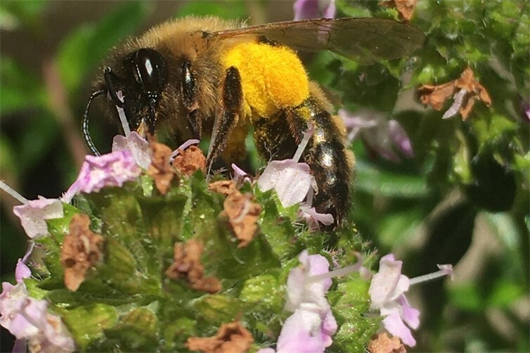 Mensch und Natur schützen