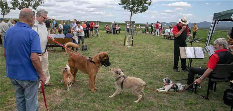 Mensch und Tier verstanden sich prima am Ziel der Sternwanderung des Wachtberger Wanderer-Vereins.