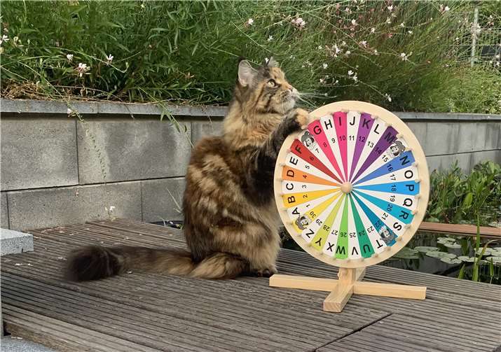 Merle am Glücksrad. Foto: privat