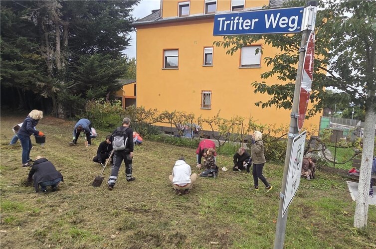 Metternicher Blumenmeer: Eine Initiative für ein schöneres Ortsbild. Fotos: Jochen Wilberg