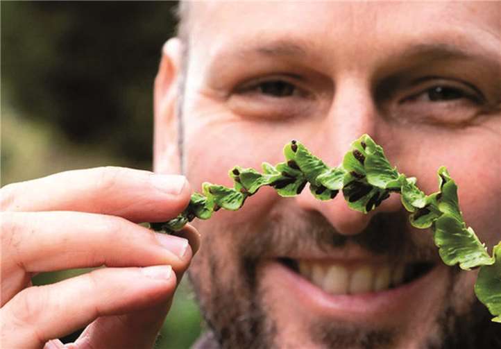 Michael Dreisvogt zeigt seinen „Lieblings“-Hirschzungenfarn.Foto: Arboretum Park Härle
