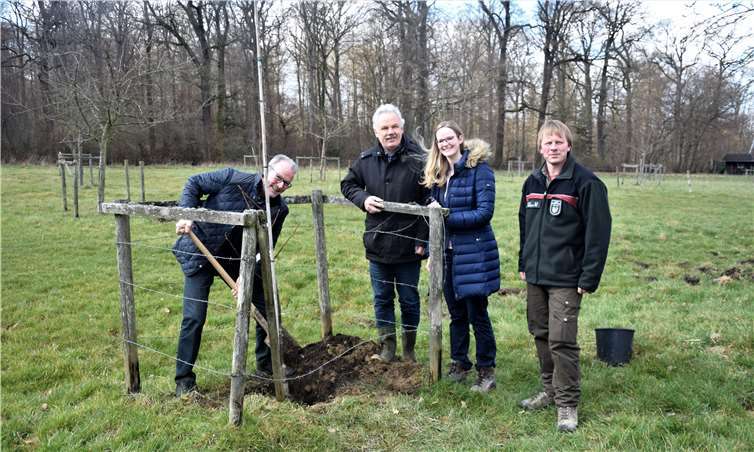 Michael Firmenich (l.) legte beim Einpflanzen des Walnussbaums mit Hand an. Mit dem Spender freuten sich dessen Tochter (2. v. r.), Bürgermeister Stefan Raetz (2. v. l.) und Stadtförster Christian Tölle.  EICH