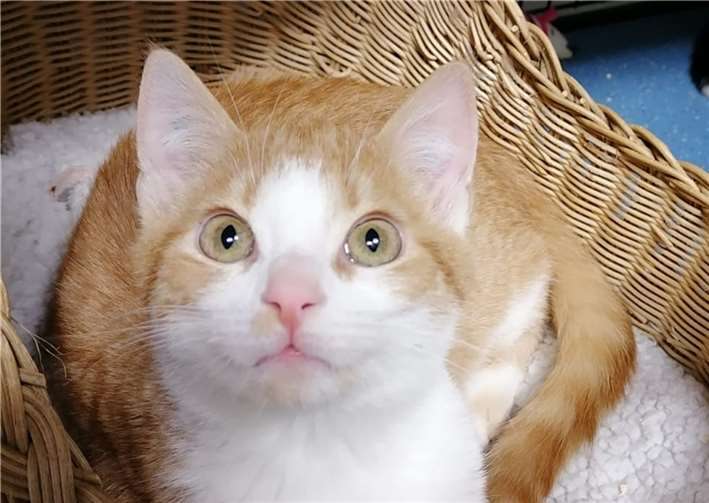 Michel.  Foto: privat