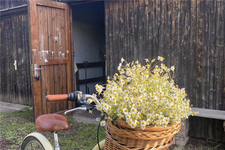 Midsommar im Schuppen 2025