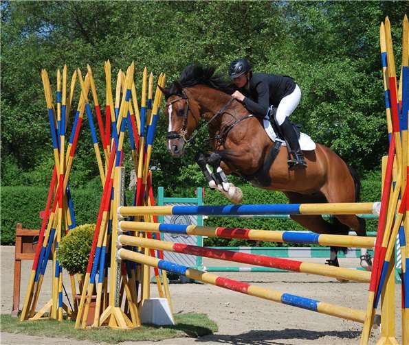 Mikadosprung beim Reitturnier.privat