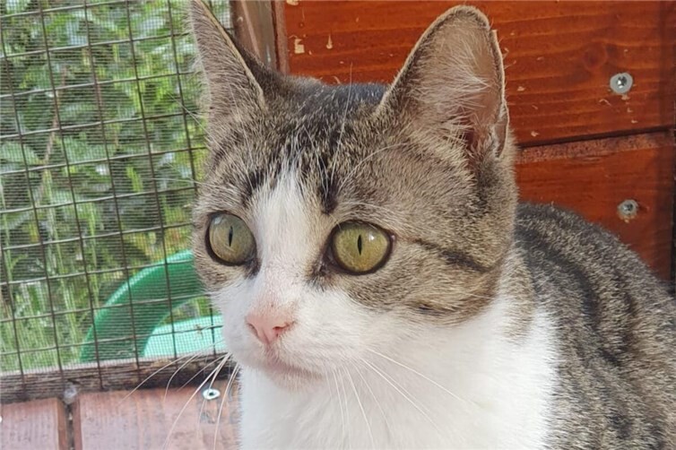 Milena