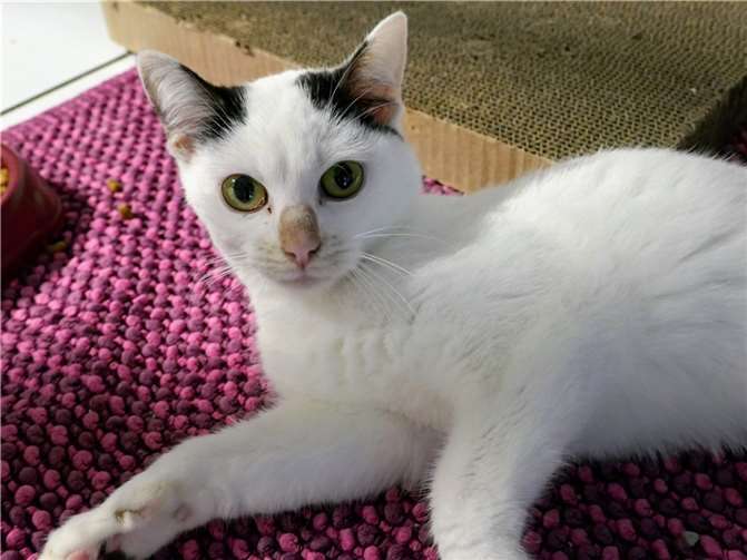 Milka. Fotos: privat