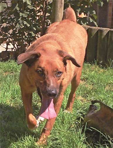 Milo „Specky“.privat