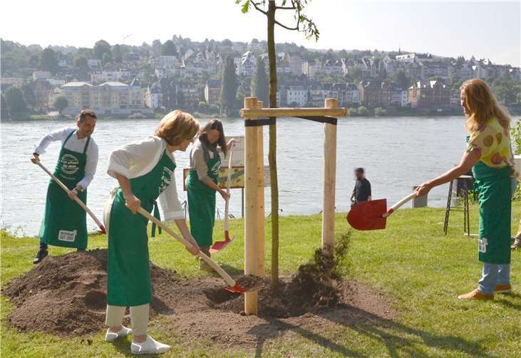 Ministerpräsidentin Malu Dreyer und Oberbürgermeister David Langnergaben den Startschuss für die Mitmachaktion #ichpflanzfürdich mit einerneuen Eiche am Rhein. Mit Schürzen ausgestattet griffen MinisterpräsidentinMalu Dreyer, Umweltministerin Ulrike Höfken, Koblenz Oberbürgermeister David Langnerund Gartenexpertin Heike Boomgarden zu den Schaufeln. Qelle: Stadt Koblenz