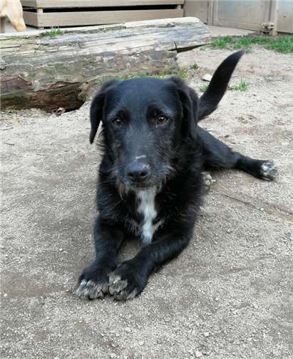 Minnie ist ein sensibles Kerlchen. Foto: privat