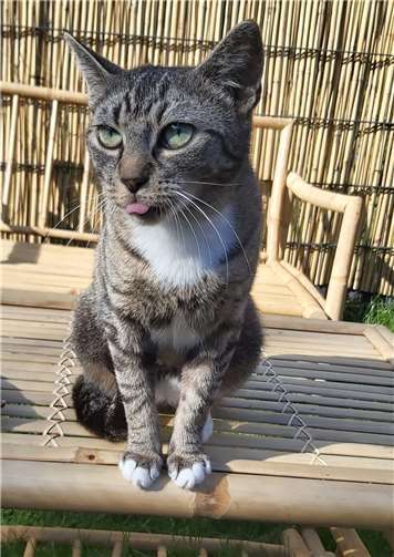 Miss Molly. Foto: privat