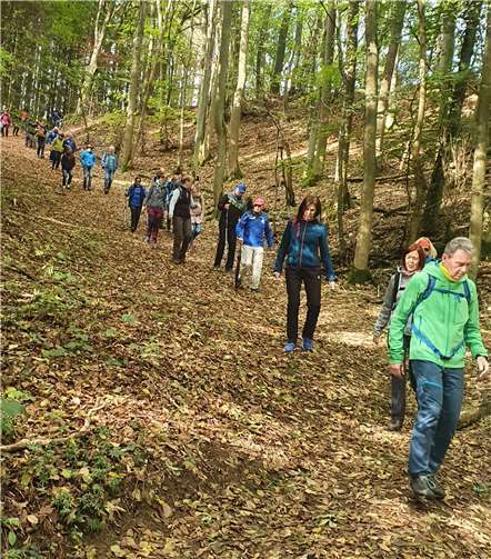 Mit Abstand ging es bergab Richtung Schloss Bürresheim.