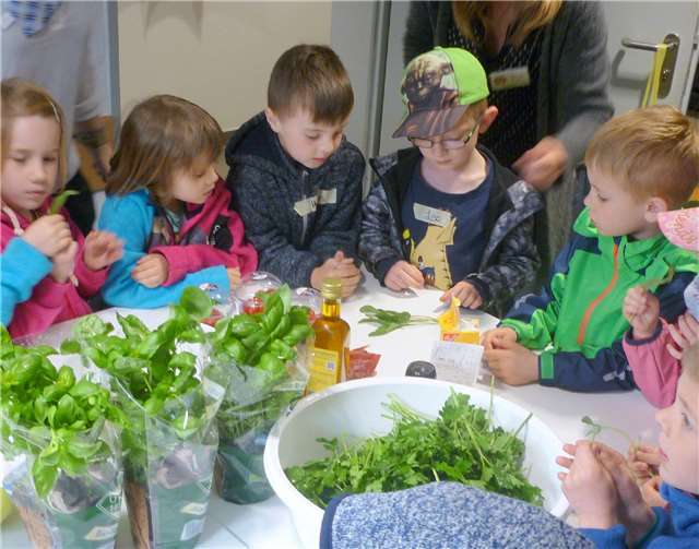 Mit Eifer beim Schnippeln dabei: 16 Jungen und Mädchen aus dem Treiser Kindergarten besuchten den Edeka-Markt am Laach.