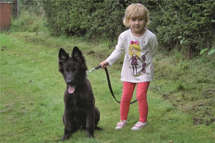 Mit Erfolg legten einige Teilnehmer verschiedene Prüfungen mit ihren Hunden ab. privat