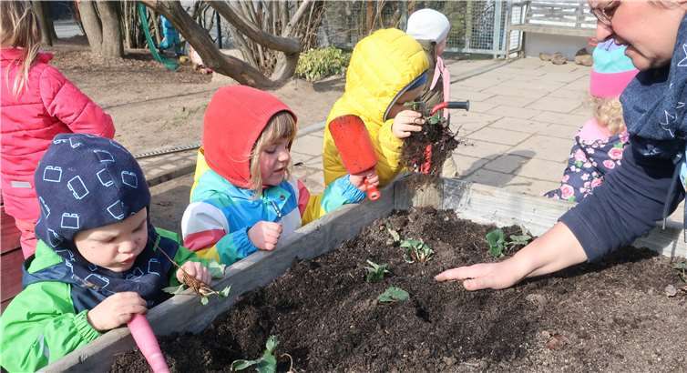 Mit Feuereifer waren die Kinder bei der Sache. Fotos: Kindergarten Pusteblume