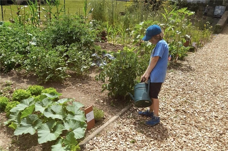 Mit Freude dabei: Der Stadtgarten bietet Kindern die Möglichkeit, Natur praktisch zu erleben.