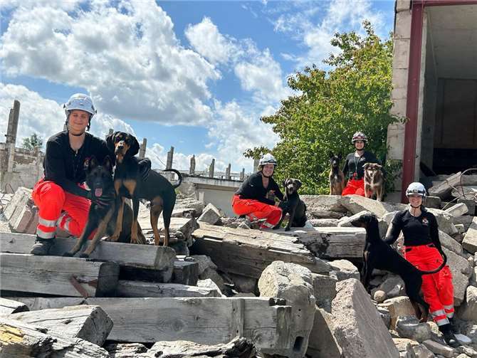 Mit Freude und Teamgeist im Training (v.l.): Ellen Wichterich mit Vader, Saskia Douglas mit Elsa, Tamara Reiher mit Beliz und Mayuma, Esther Schneider mit Josie.  Foto: privat