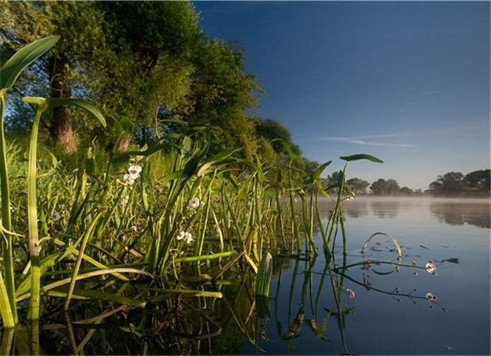 Mit Hilfe der Aktion des NABU entsteht an der Unteren Havel wieder eine intakte Flusslandschaft. K.Karkow/NABU