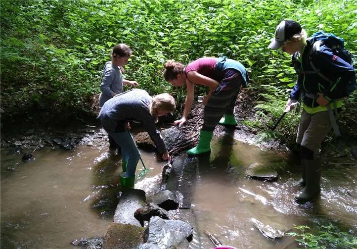Mit Keschern, Beobachtungsgläsern und Bestimmungsbüchern zog die Gruppe los, um den Bach genauer unter die Lupe zu nehmen.Foto: Jana-Elisa Esch