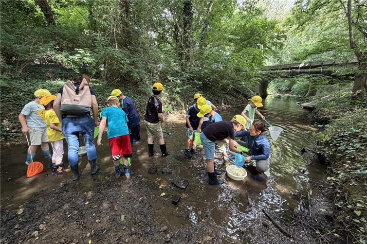 Mit Keschern, Gummistiefeln und großer Neugier erforschten die Kinder den Lebensraum Bach und sammelten behutsam Wasserlebewesen zur näheren Untersuchung.