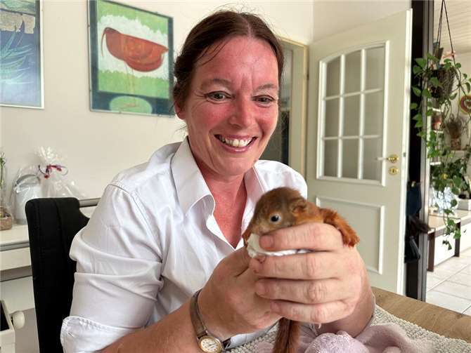 Mit Liebe und Hingabe kümmert sich Natascha Schleiffer um verwaiste Eichhörnchen.  Foto: ROB