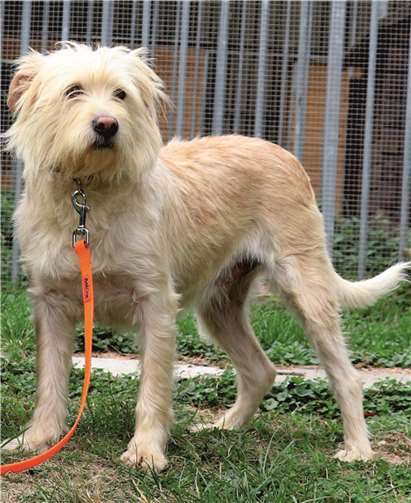 Mit Lulu ist gut auskommen. Privat