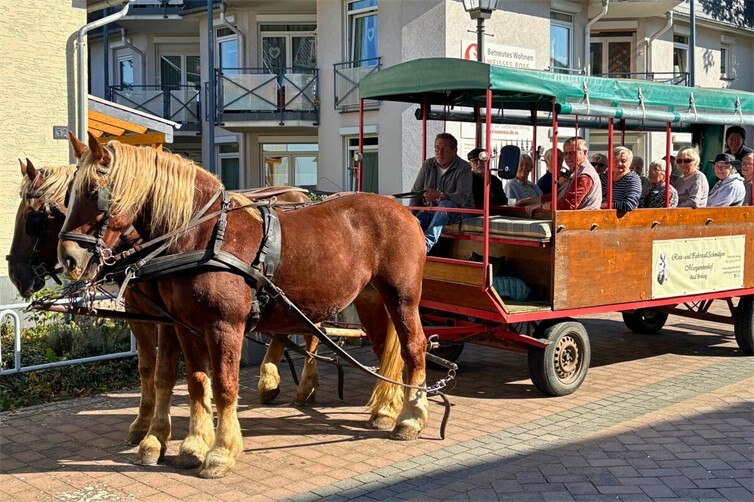 Mit Pferdestärken durch Bad Breisig: Die Bewohnerinnen und Bewohner des Betreuten Wohnens „Weißes Ross“ genossen die gemeinsame Fahrt im Planwagen.
