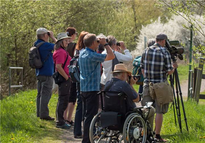Wasservögel am Jungferweiher Mit Spektiven verfolgten die Exkursionsteilnehmer das tierische Treiben rund um das Ulmener Maar. Rea Brinkmann/NABU Ahrweiler